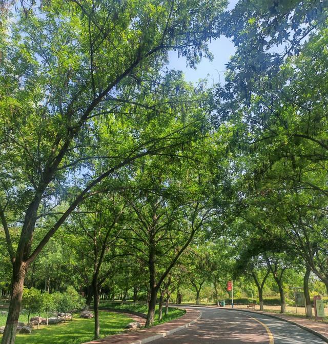 人到中年, 伤的, 的距离 人到中年, 伤的, 的距离