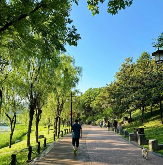 的效果要好 的效果要好