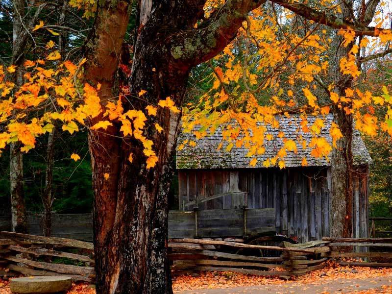 的一环, 自己的努力 的一环, 自己的努力